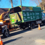 Permits and Regulations for Tree Removal in Williamsburg, VA & James City VA