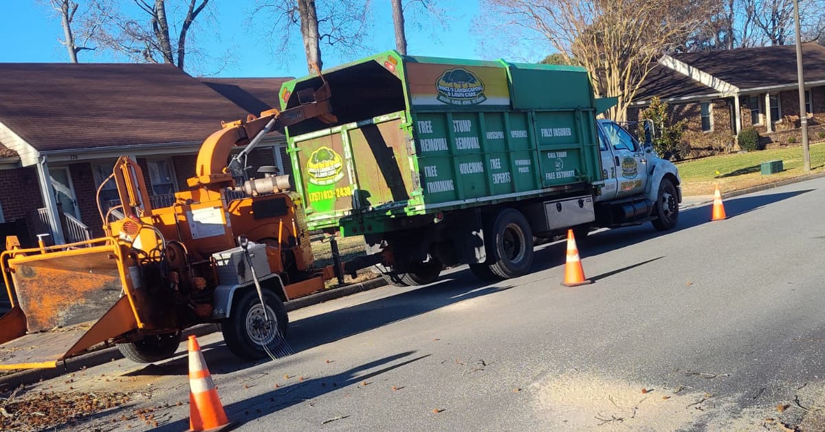 Permits and Regulations for Tree Removal in Williamsburg, VA & James City VA