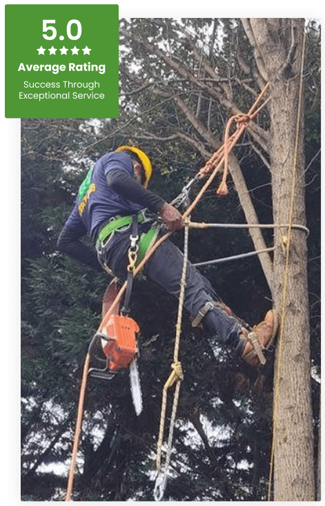Commercial Tree Service