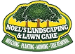 noel velasquez landscaping logo